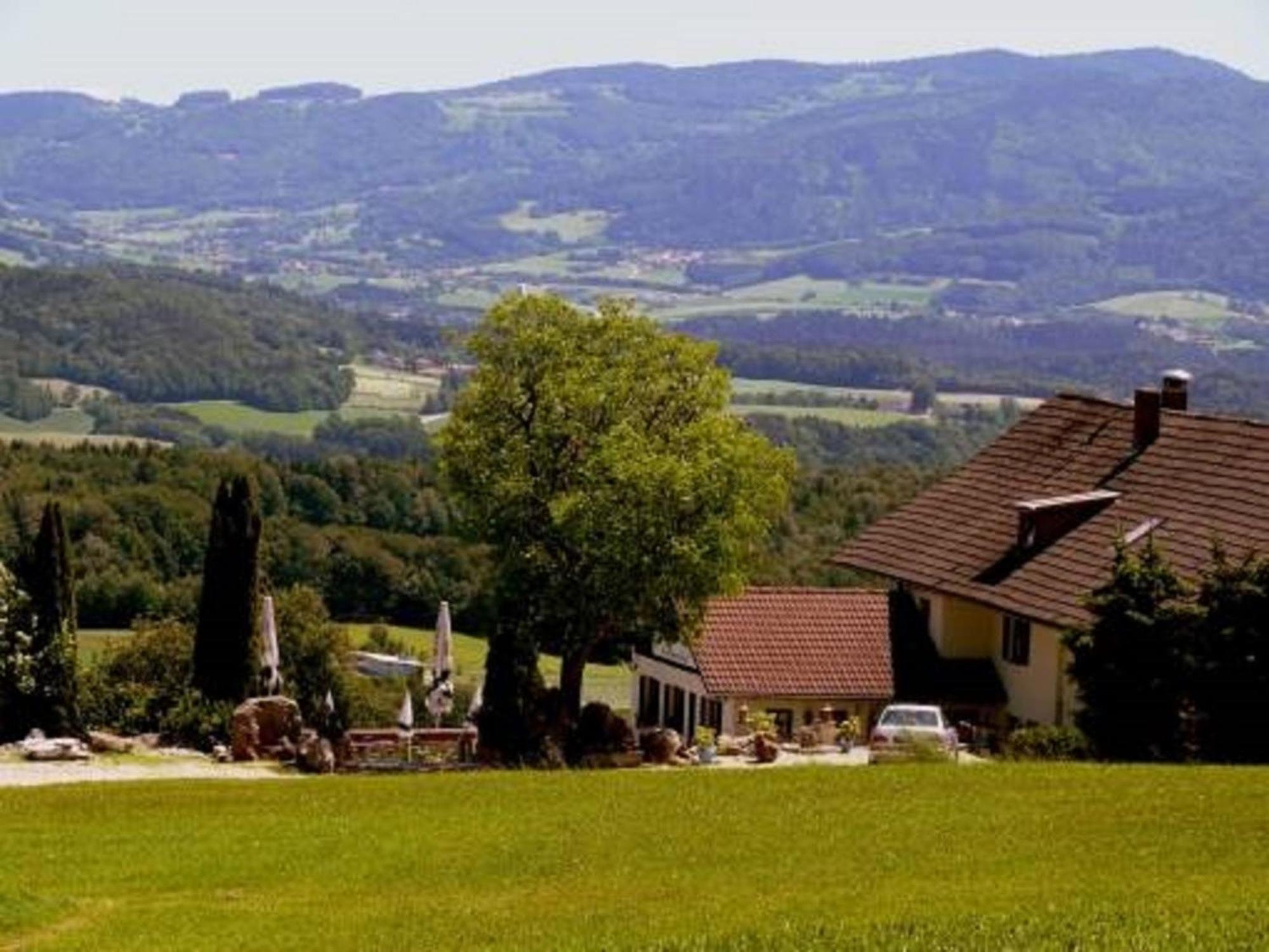 Landhaus Lehnerhof Schaufling Екстер'єр фото